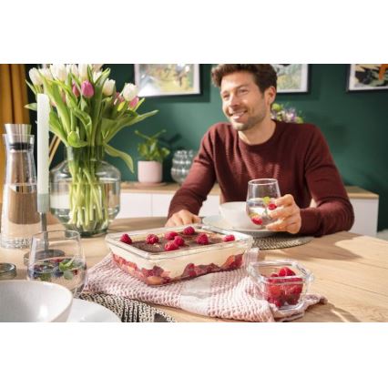 Tefal - Madbeholder til fødevarer 3 l MSEAL GLASS rød/glas