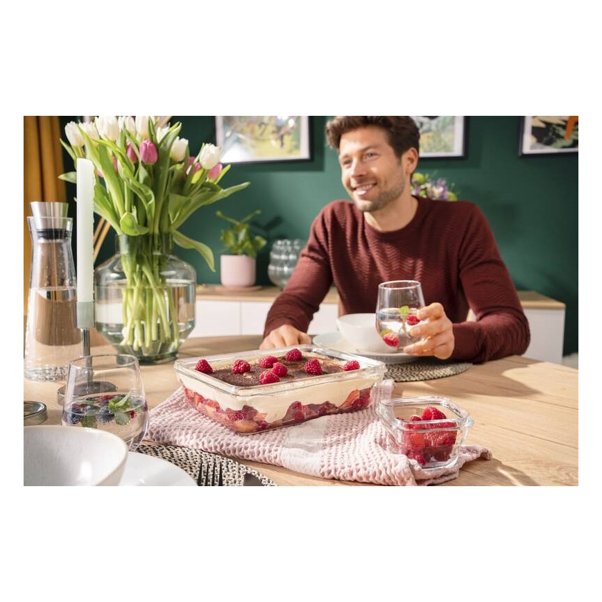 Tefal - Madbeholder til fødevarer 3 l MSEAL GLASS rød/glas