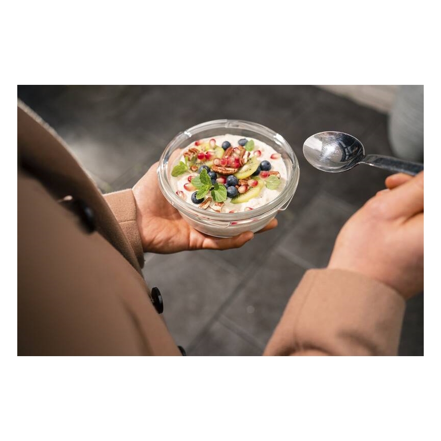 Tefal - Madopbevaringsbeholder 0,6 l MSEAL GLASS rød/glas