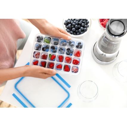 Tefal - MASTER SEAL isform til 24 isterninger, blå