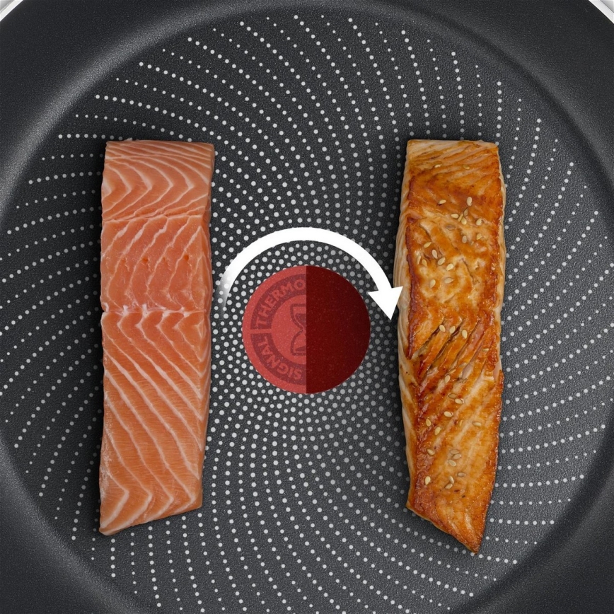 Tefal - Pande DELICIOUS 24 cm