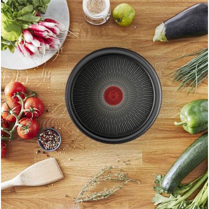 Tefal - Pande INGENIO Unlimited 24 cm