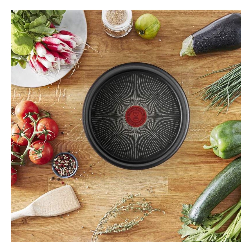Tefal - Pande INGENIO Unlimited 24 cm