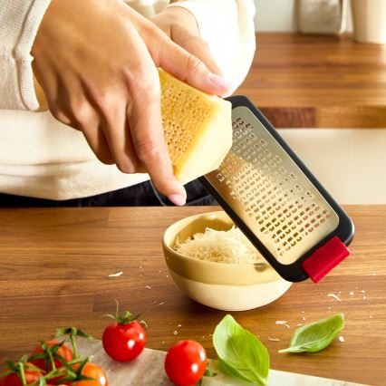 Tefal - Rivjern INGENIO
