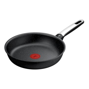 Tefal - Stegepande EXPERTISE 24 cm