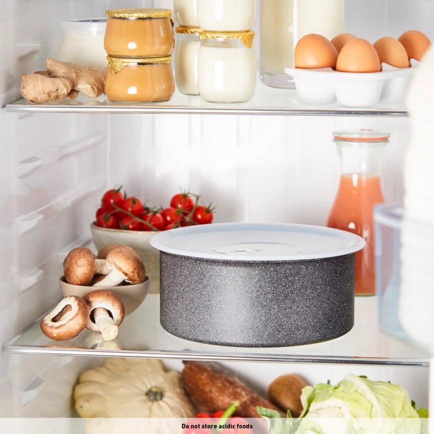 Tefal - Stegepande INGENIO NATURAL FORCE 24 cm