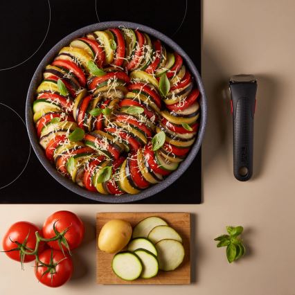 Tefal - Stegepande INGENIO NATURAL FORCE 24 cm
