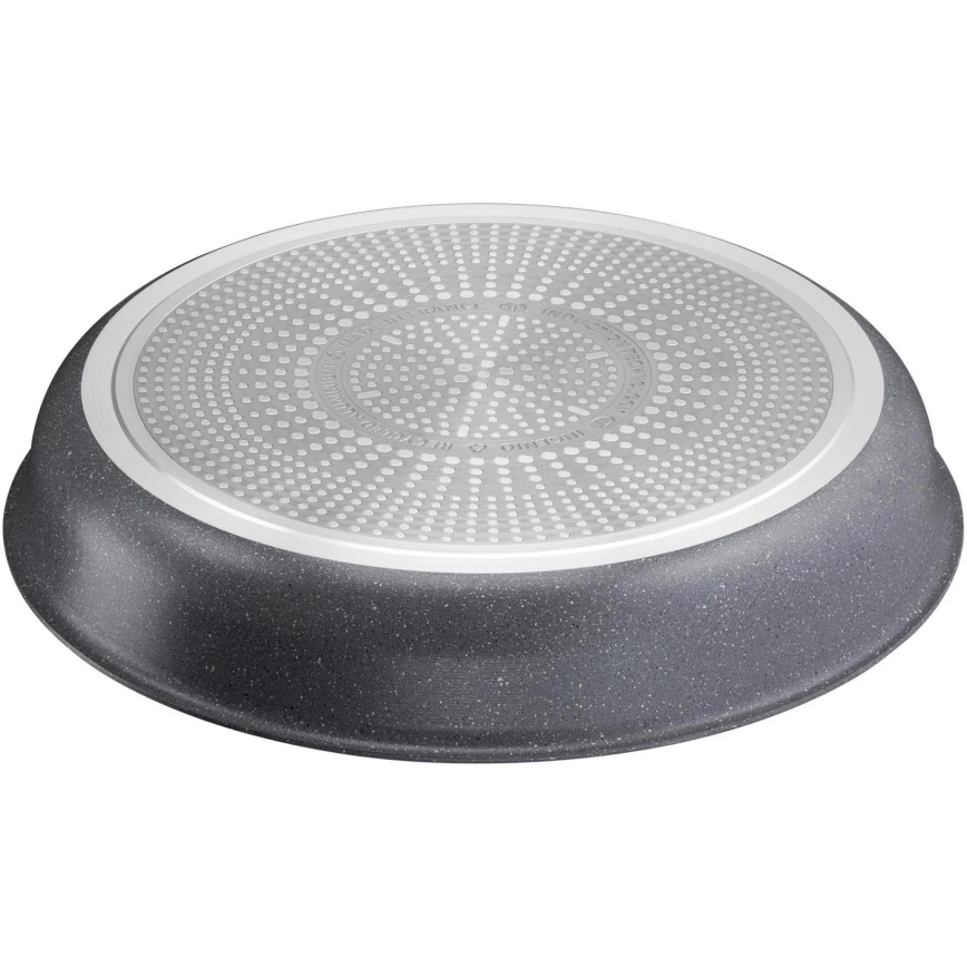Tefal - Stegepande INGENIO NATURAL FORCE 24 cm