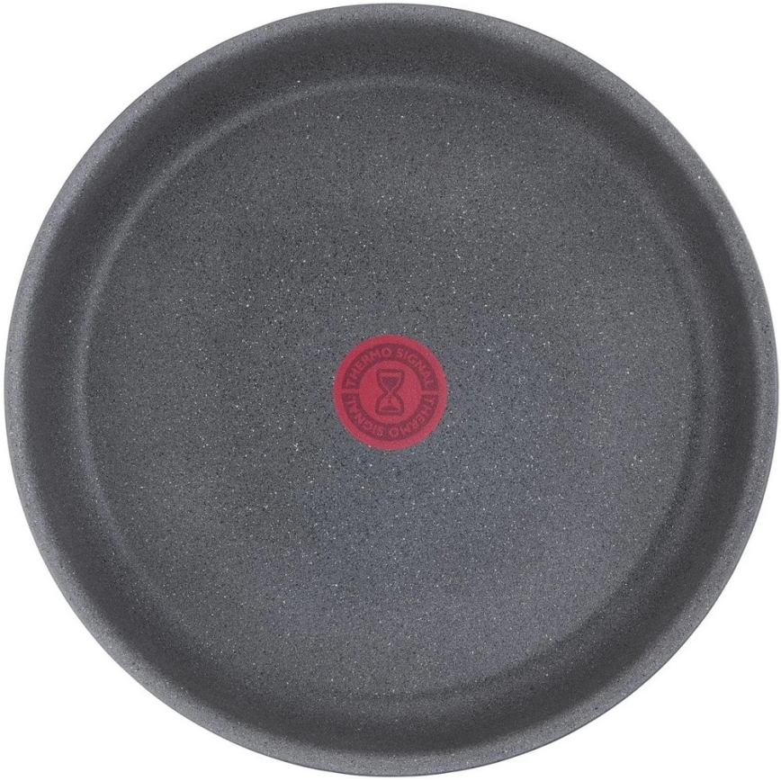 Tefal - Stegepande INGENIO NATURAL FORCE 24 cm