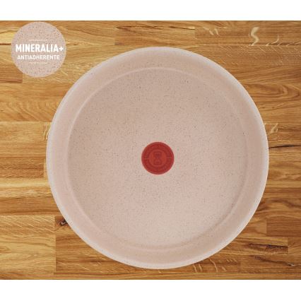 Tefal - Sæt med 3 pander INGENIO DELIGHT