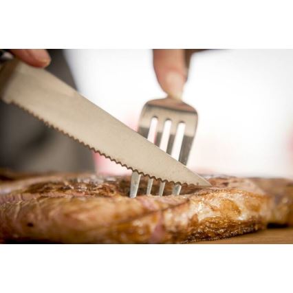 Tefal - Sæt med 4 steakknive i rustfrit stål ICE FORCE 11 cm blank krom/sort