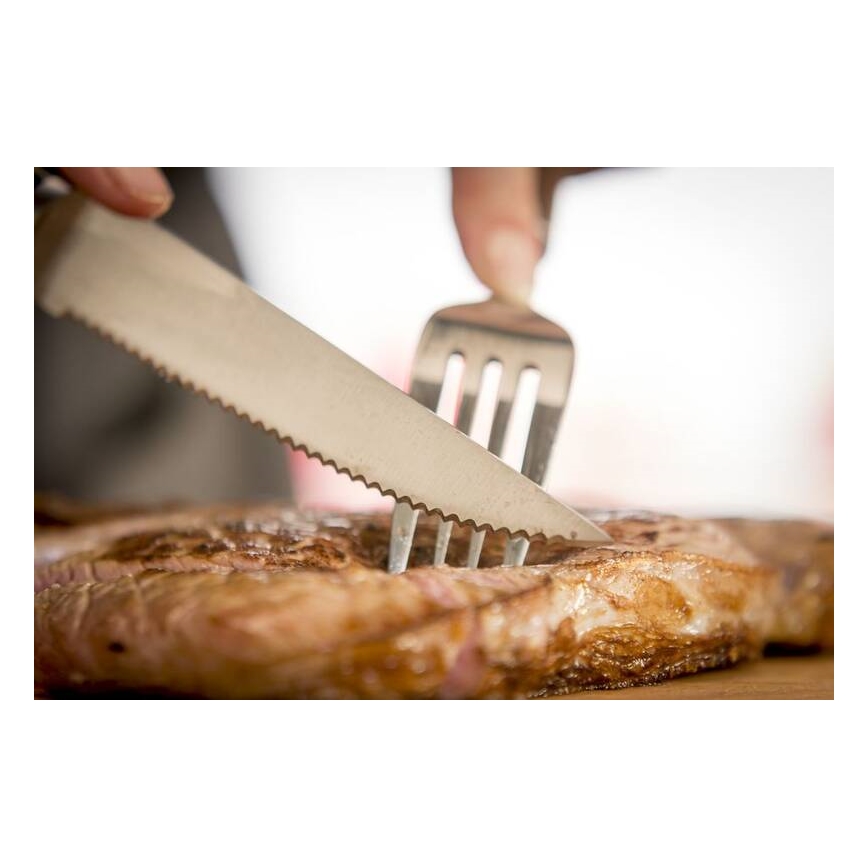 Tefal - Sæt med 4 steakknive i rustfrit stål ICE FORCE 11 cm blank krom/sort