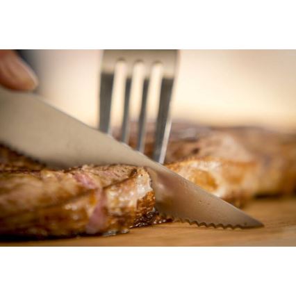Tefal - Sæt med 4 steakknive i rustfrit stål ICE FORCE 11 cm blank krom/sort