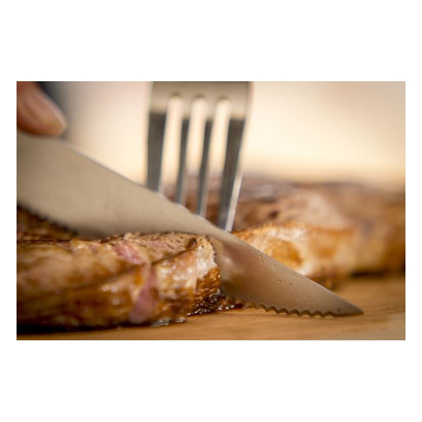 Tefal - Sæt med 4 steakknive i rustfrit stål ICE FORCE 11 cm blank krom/sort