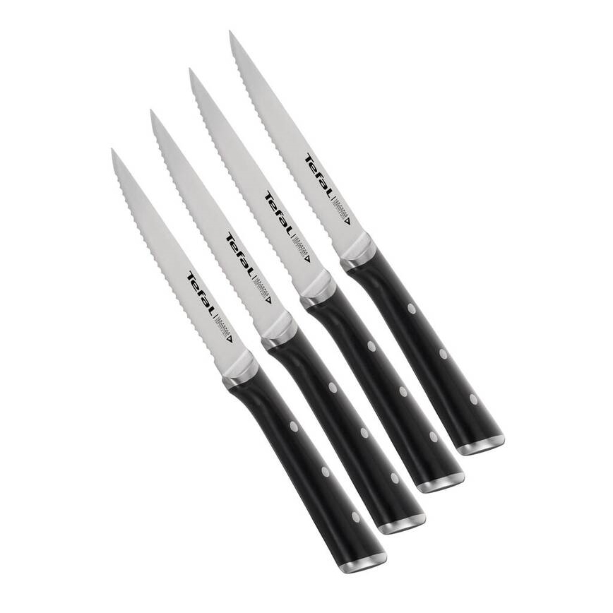 Tefal - Sæt med 4 steakknive i rustfrit stål ICE FORCE 11 cm blank krom/sort