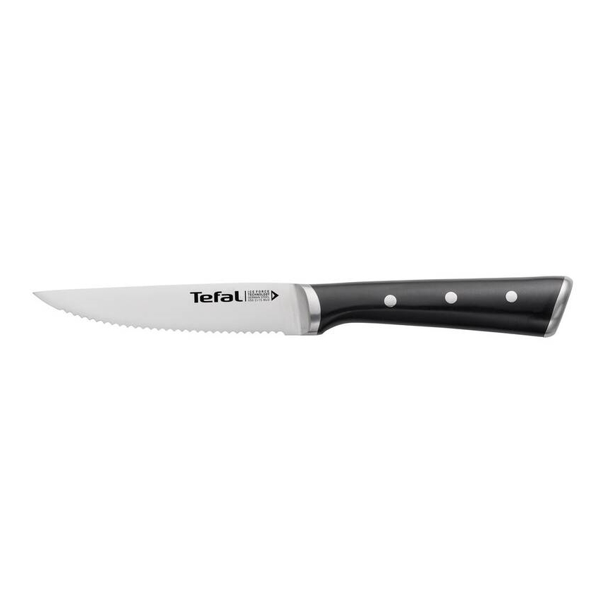 Tefal - Sæt med 4 steakknive i rustfrit stål ICE FORCE 11 cm blank krom/sort