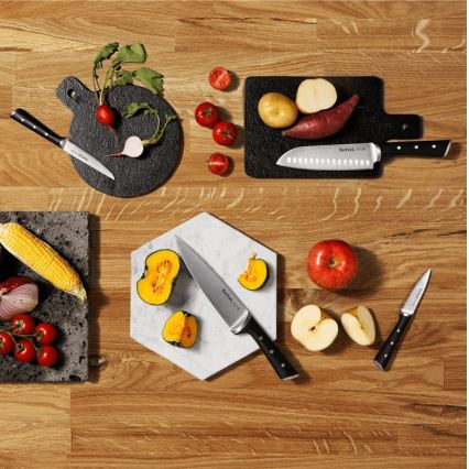 Tefal - Sæt med køkkenknive i knivblok ICE FORCE 6 stk.