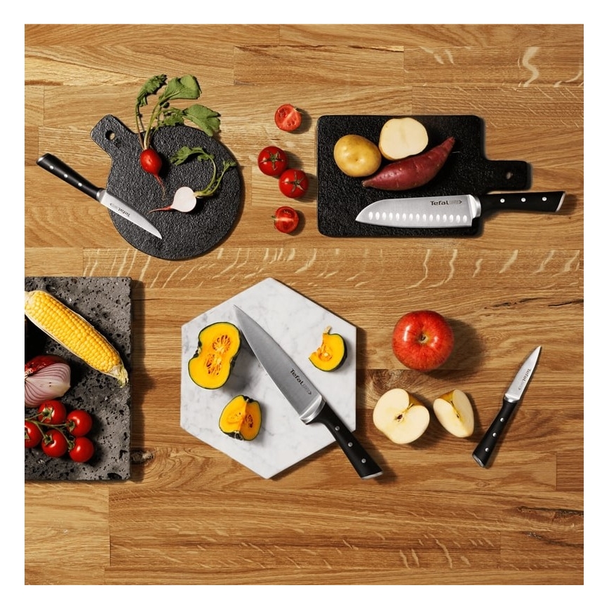 Tefal - Sæt med køkkenknive i knivblok ICE FORCE 6 stk.