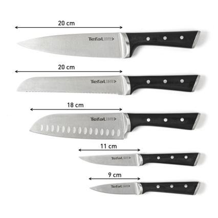 Tefal - Sæt med køkkenknive i knivblok ICE FORCE 6 stk.