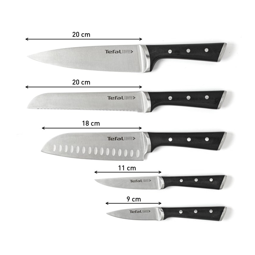 Tefal - Sæt med køkkenknive i knivblok ICE FORCE 6 stk.
