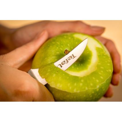 Tefal - Udskæringskniv rustfrit stål ICE FORCE 7 cm skinnende krom/sort