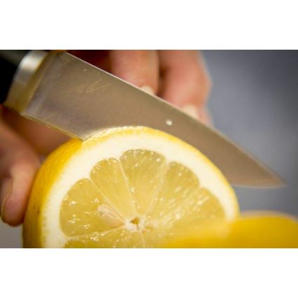 Tefal - Udskæringskniv rustfrit stål ICE FORCE 9 cm skinnende krom/sort