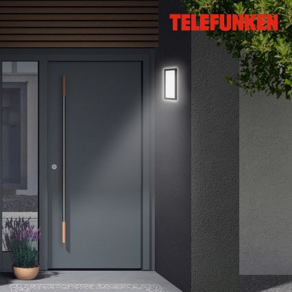 Telefunken 313605TF - Udendørs LED væglampe LED/16W/230V IP44 sort