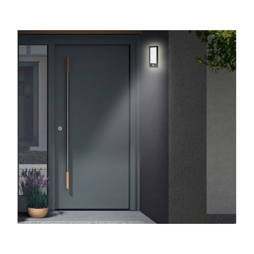 Telefunken 313905TF - LED Udendørs væglampe med sensor LED/16W/230V IP44