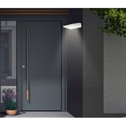 Telefunken - LED udendørs væglampe LED/10W/230V IP44 hvid