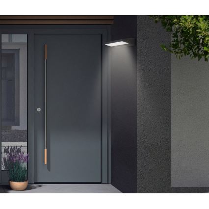 Telefunken - LED udendørs væglampe LED/10W/230V IP44 sort