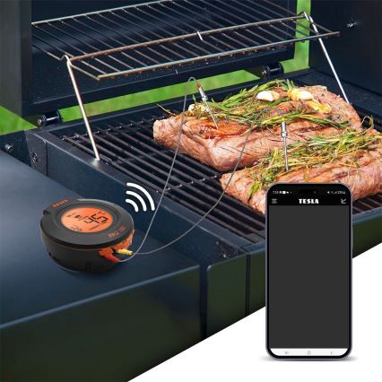 TESLA Electronics Cook - Digitalt stegetermometer med sonde 0-400 °C 2xAA IP65