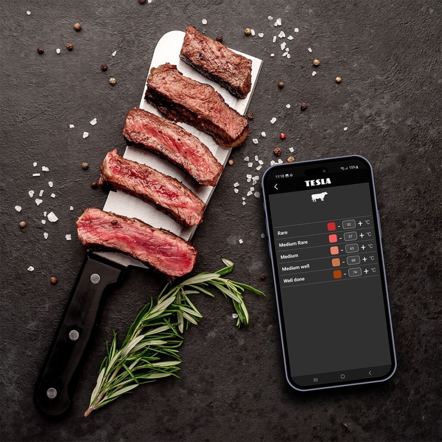 TESLA Electronics Cook - Digitalt stegetermometer med sonde 0-400 °C 2xAA IP65
