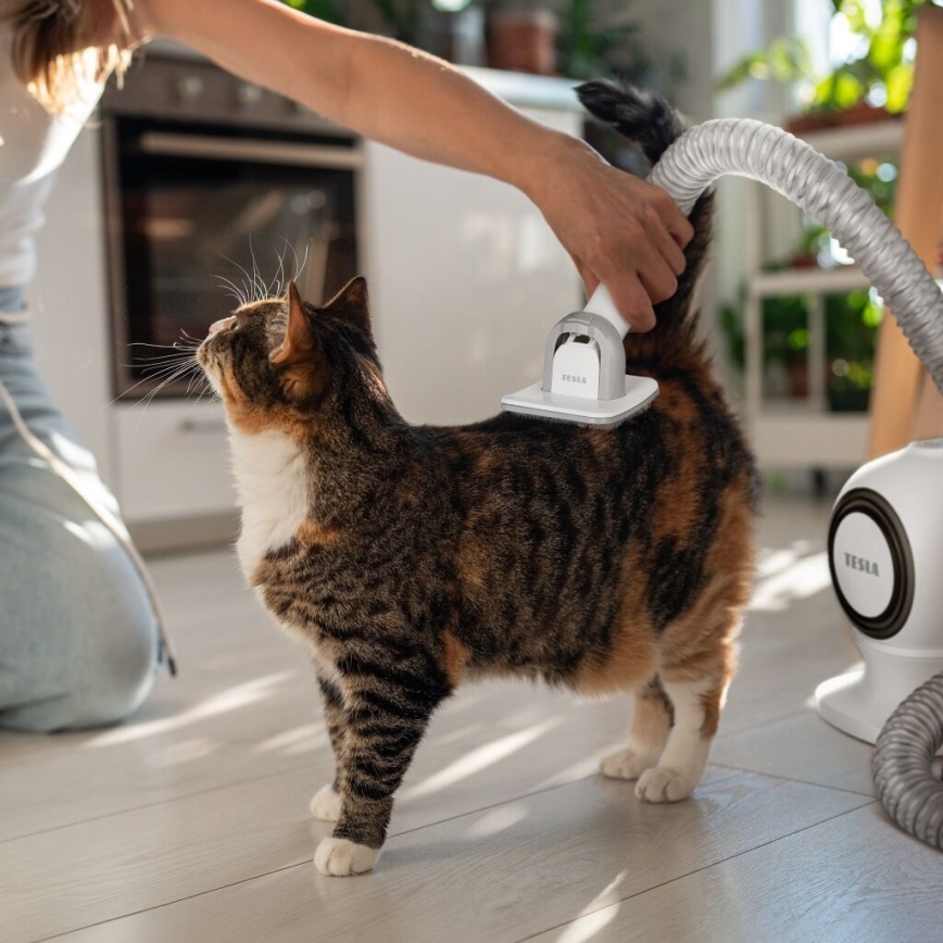 TESLA Electronics PetCare - Plejesæt til kæledyr 300W/230V