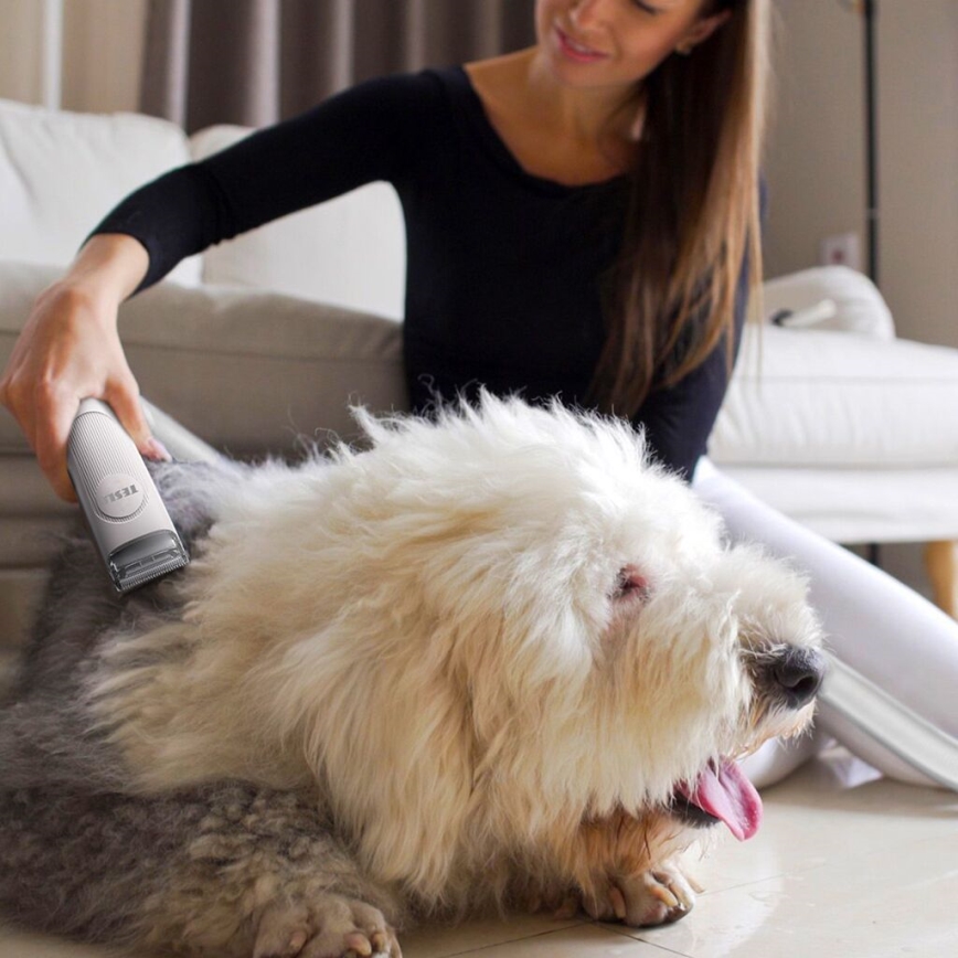 TESLA Electronics PetCare - Plejesæt til kæledyr 300W/230V