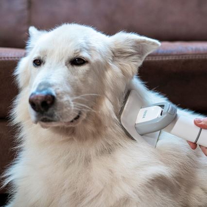TESLA Electronics PetCare - Plejesæt til kæledyr 300W/230V