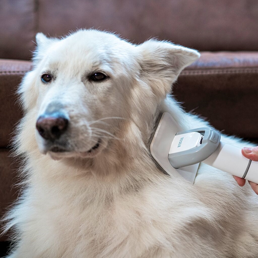 TESLA Electronics PetCare - Plejesæt til kæledyr 300W/230V