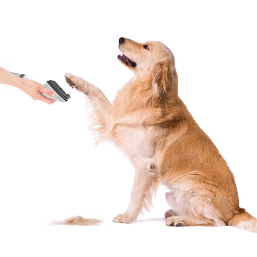 TESLA Electronics PetCare - Plejesæt til kæledyr 300W/230V