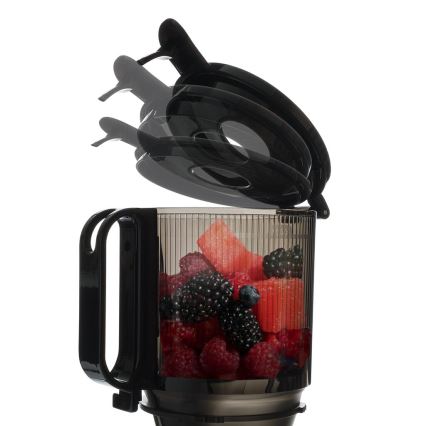 TESLA Electronics SlowJuicer Deluxe - Juicer m. lav hastighed 250W/230V rustfri/sort