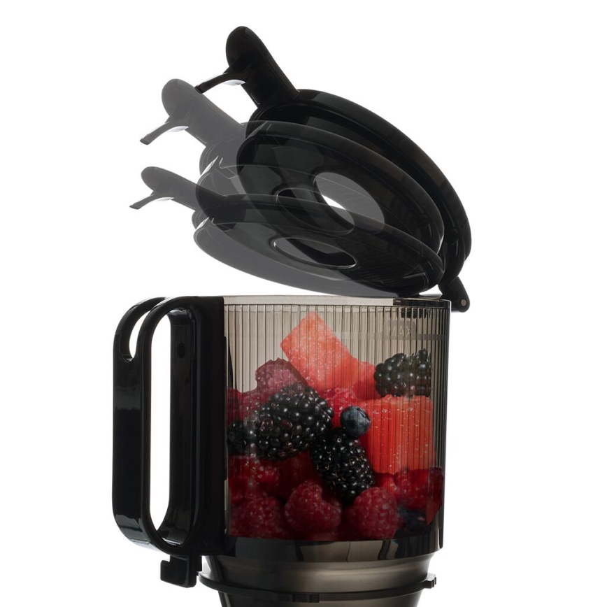 TESLA Electronics SlowJuicer Deluxe - Juicer m. lav hastighed 250W/230V rustfri/sort