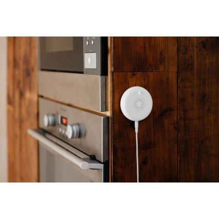 TESLA Smart - Smart-gasalarm 230V ZigBee