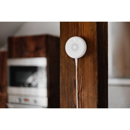 TESLA Smart - Smart-gasalarm 230V ZigBee