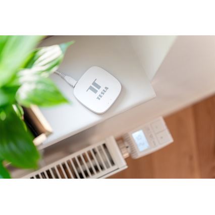 TESLA Smart - Smart gateway Hub Smart Zigbee Wi-Fi