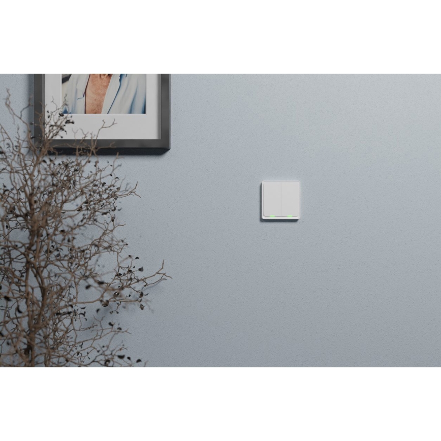 TESLA Smart - Smart-kontakt 2P 230V ZigBee