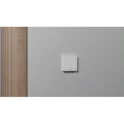 TESLA Smart - Smart-kontakt 2P 230V ZigBee