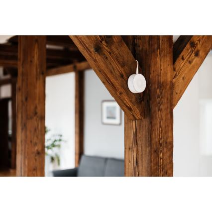 TESLA Smart - Smart-sirene 12V ZigBee