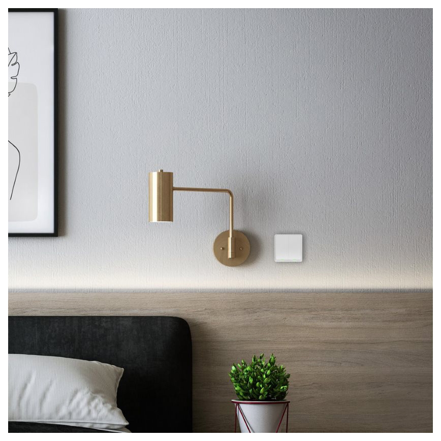 Tesla -Trådløs smart afbryder 2P 1xCR2430 ZigBee