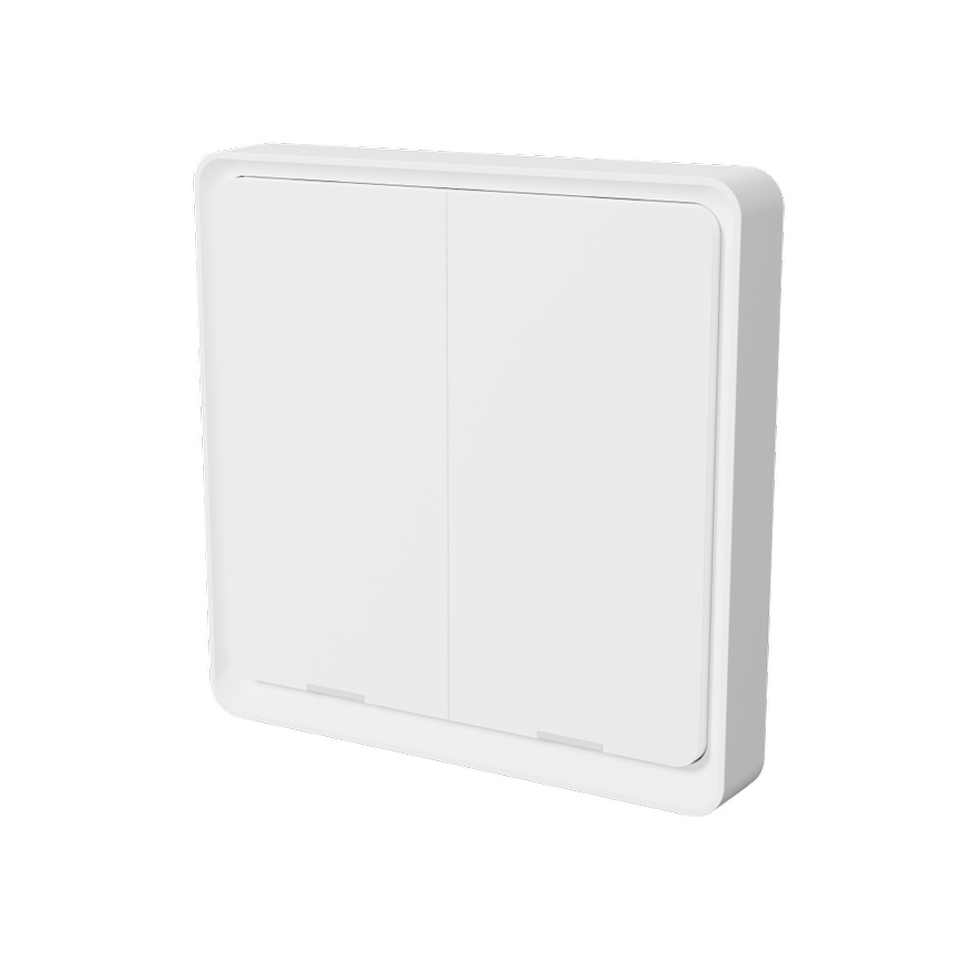 Tesla -Trådløs smart afbryder 2P 1xCR2430 ZigBee