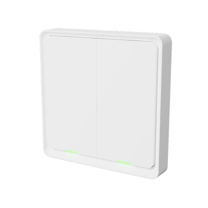 Tesla -Trådløs smart afbryder 2P 1xCR2430 ZigBee