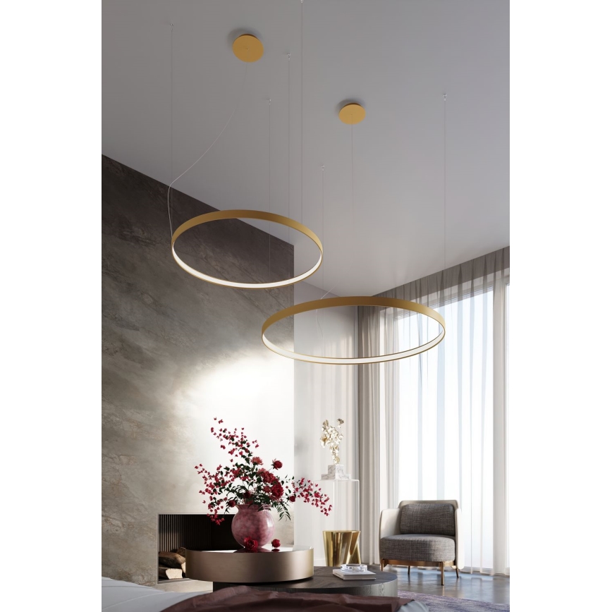 Thoro TH.174 - LED pendel RIO LED/50W/230V CRI 90 3000K diameter 78 cm guldfarvet