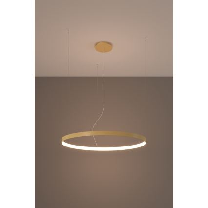 Thoro TH.174 - LED pendel RIO LED/50W/230V CRI 90 3000K diameter 78 cm guldfarvet